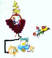 legumes_vs_fruits_1